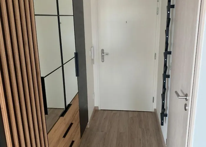 Your 14 קושיצה