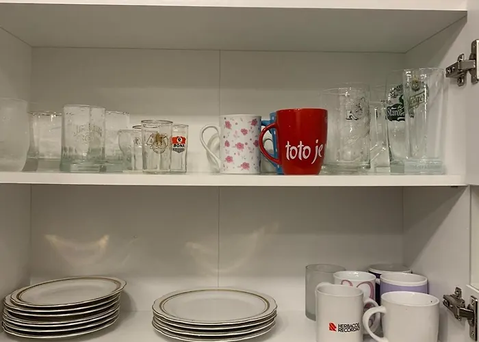 Your 14 * קושיצה