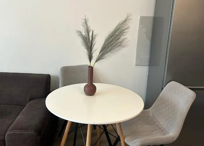 Your 14 * קושיצה